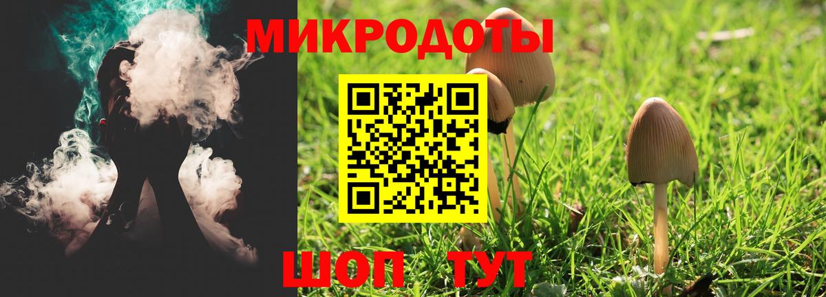 Псилоцибиновые грибы Cubensis Гусиноозёрск