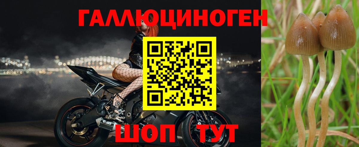 Гусиноозёрск  Псилоцибиновые грибы MAGIC MUSHROOMS  Псилоцибиновые грибы MAGIC MUSHROOMS  Вход с VPN 